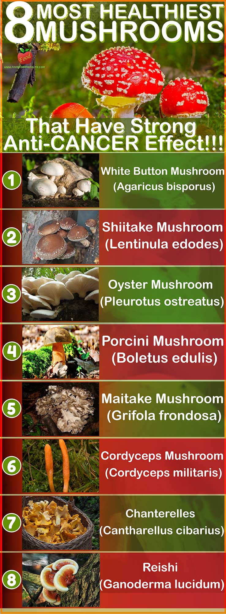 8 most healthiest mushrooms that have strong anti cancer effect