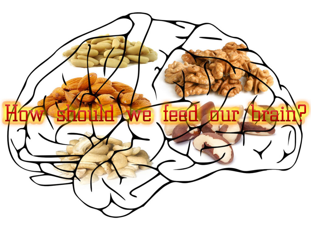 how-should-we-feed-our-brain