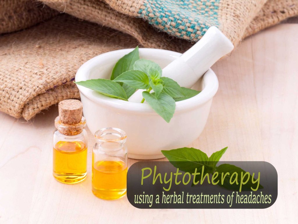 Phytoterapy using a herbal treatment of headaches