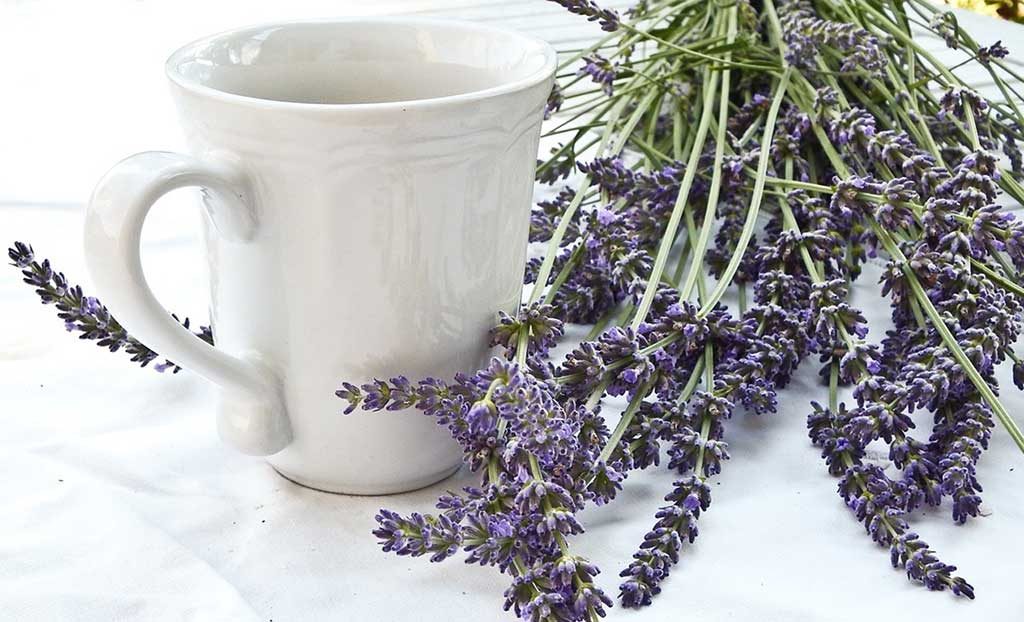 lavender tea 