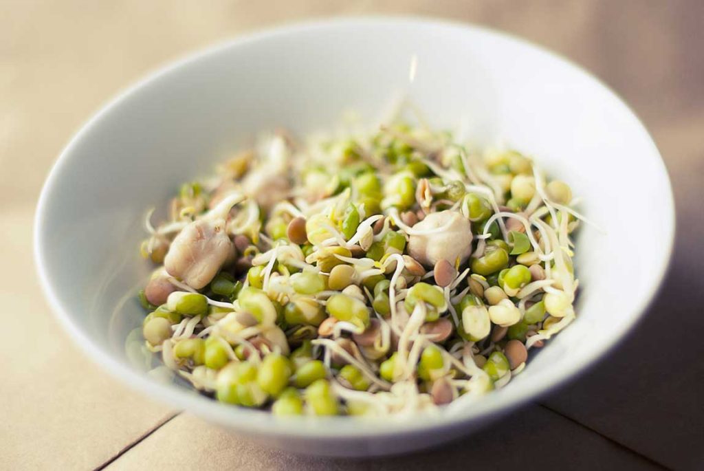 Soybean sprouts