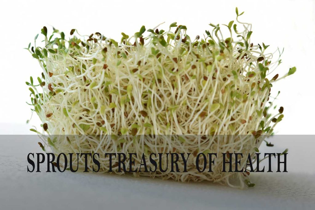 sprouts treasury of health