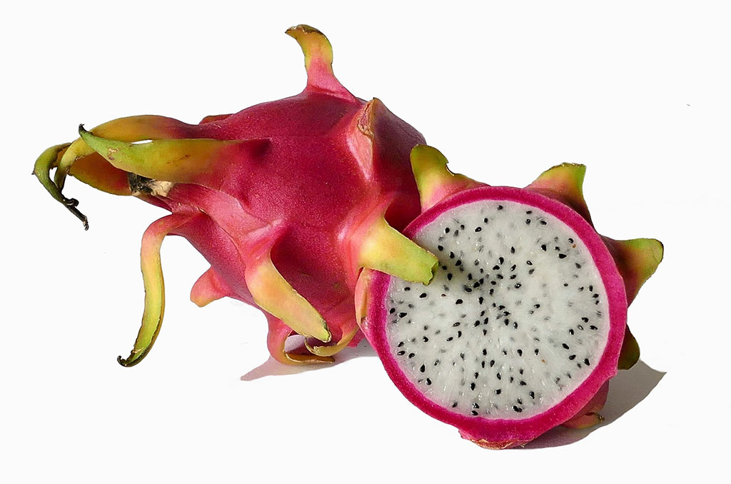 Pitaya the dragon fruit