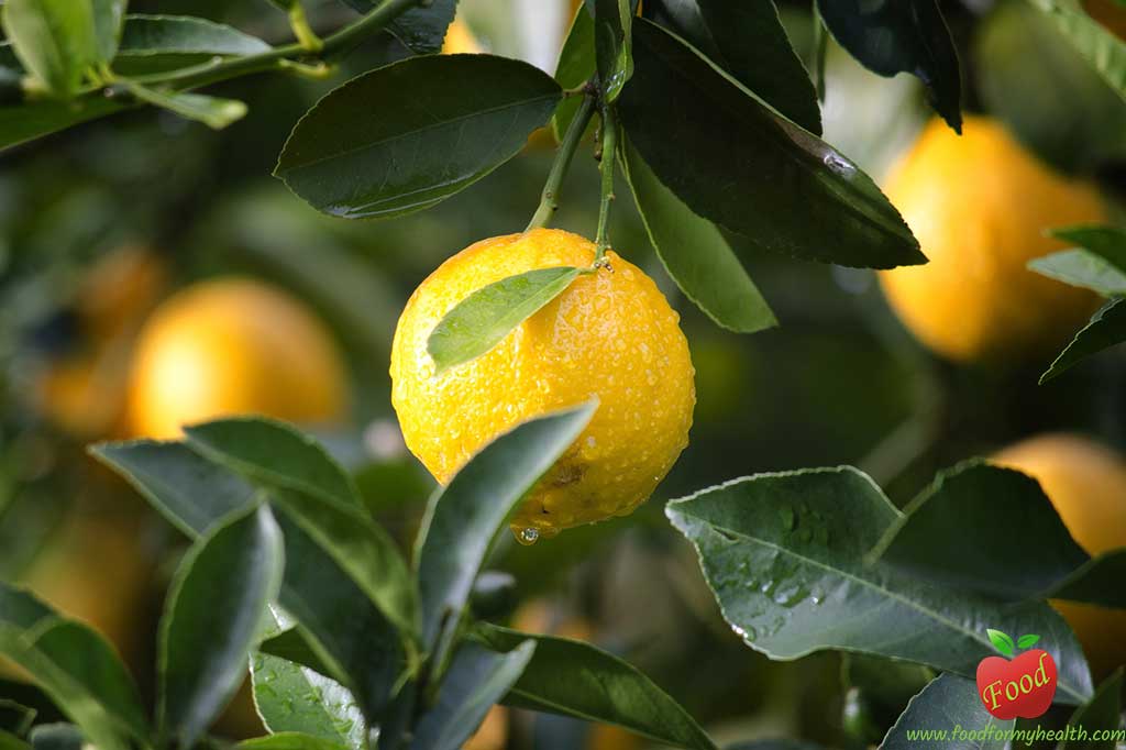 Lemon nutrition facts and health benefits