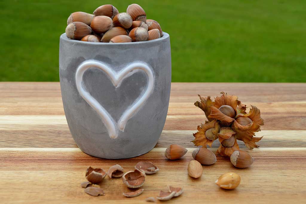 10 Hazelnuts Health Benefits Nature's Nutritional Powerhouse