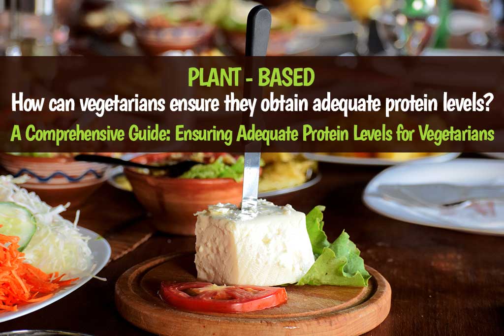 How can vegetarians ensure they obtain adequate protein levels