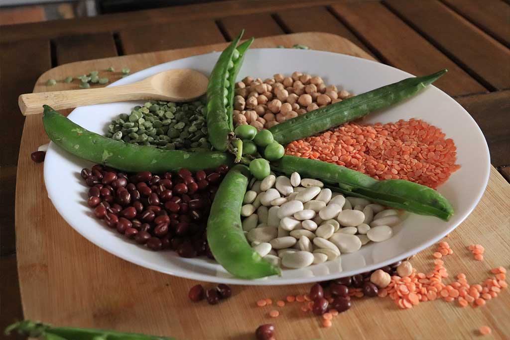 Legumes: Beans, Lentils, Chickpeas and Peas