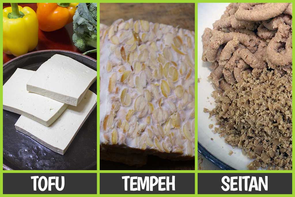 Tofu, Tempeh, and Seitan